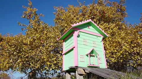 Honey bee hives 스톡 동영상 31824742