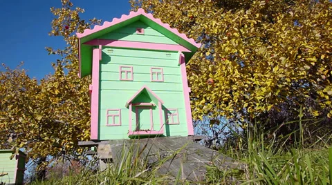 Honey bee hives Vidéo 31824749