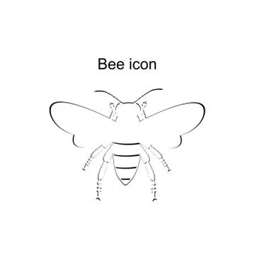 Honey bee icon Stock Illustration