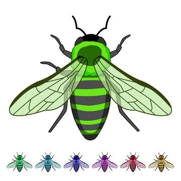 Honey bee insect flying isolated white background Stock Illustration