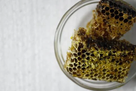 Honey bee Stock Photos