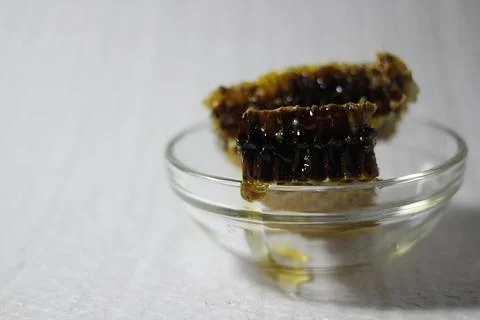 Honey bee Stock Photos