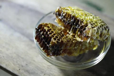 Honey bee Stock Photos