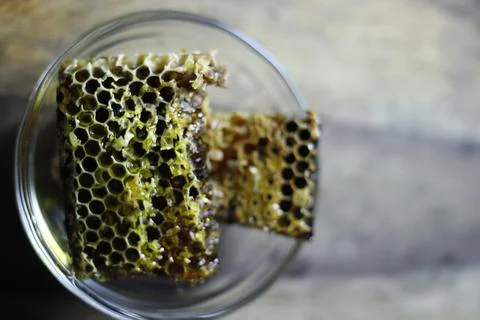 Honey bee Stock Photos