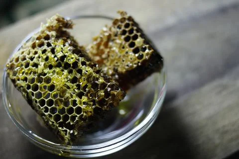 Honey bee Stock Photos