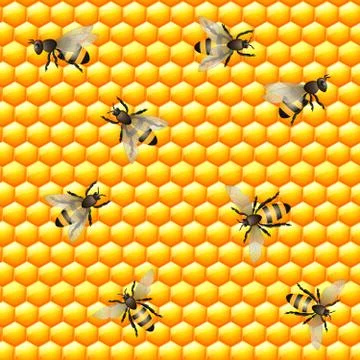 Honey bee seamless pattern Stock Illustration