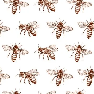 Honey bee seamless pattern. Vintage doodle sketch wrapping vector background イラスト素材