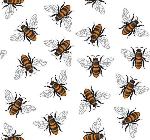 Honey Bee Seamless Pattern on White Background. Vector イラスト素材