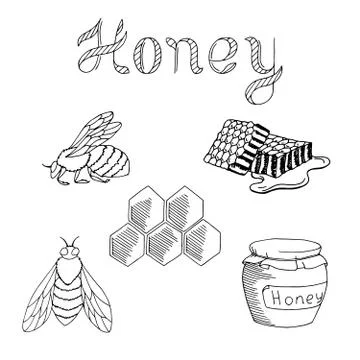 Honey bee set text graphic art black white isolated illustration vector Stock Illustration