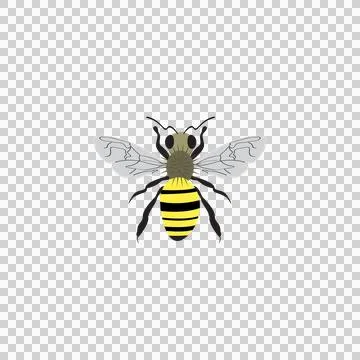 Honey Bee, Sketch of a bee Stock Illustration