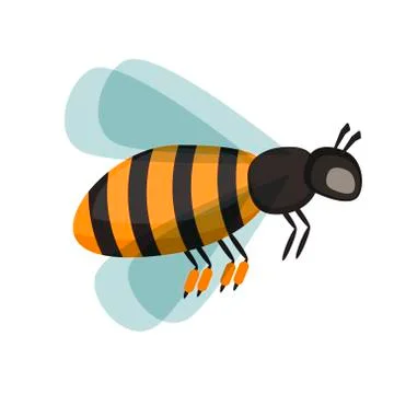 Honey bee vector illustration Stock Illustration