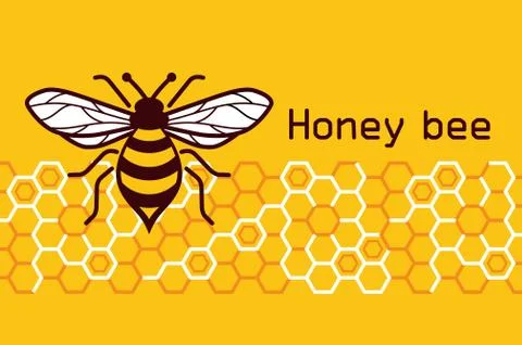 Honey bee vector image Stock Illustration