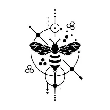 Honey bee vector image Stock Illustration