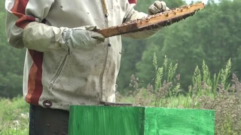 Honey Bees and an unrecognizable beekeeper working on it outside Stock Footage 239668749