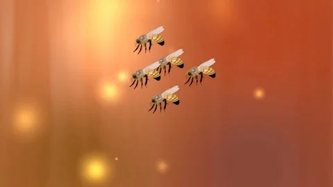 Honey Animation Stock Video Footage | Royalty Free Honey Animation ...
