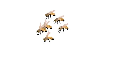 honey bees background and 2d animation, ... | Stock Video | Pond5