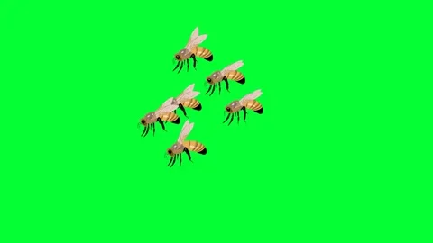 honey bees background and 2d animation, ... | Stock Video | Pond5