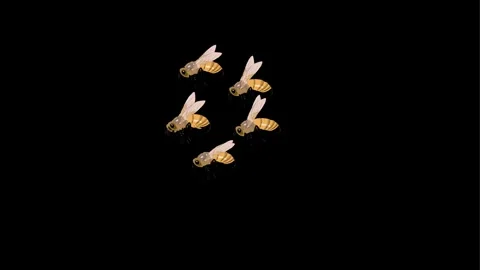 Honey bees background and 2d animation, flying bees, hornet Stock Footage 245744389