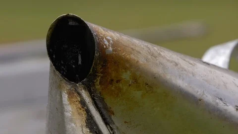 HONEY BEES Stock Footage 99816451