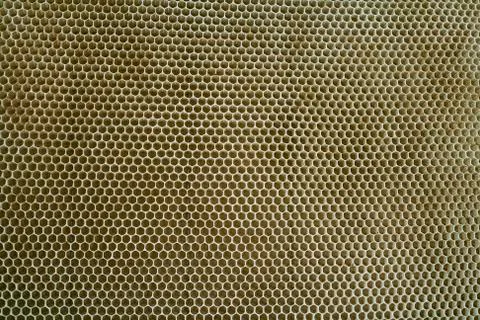 Honey cells Stock Photos