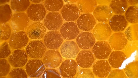 Honey close-up. Transparent honey flows down the honeycomb Stock Footage 124257927
