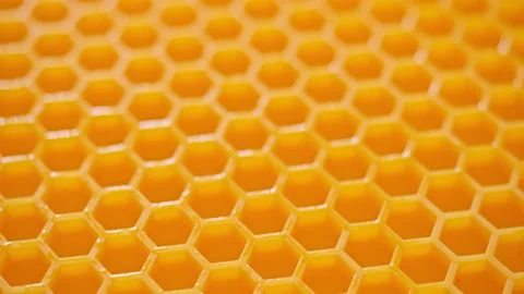 Honey comb. Abstract background. Video stock 87540620