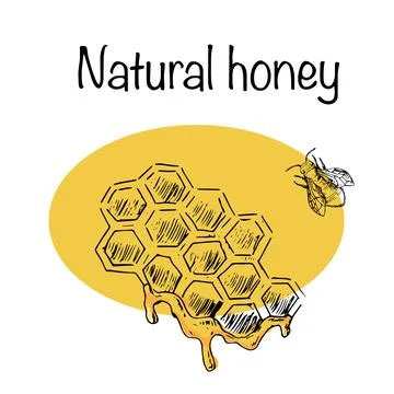 Honey comb and bee hand drawn sketch in color Stock Illustration