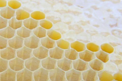 Honey comb close up Stock Photos