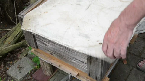 Honey comb. closing the beehive. 스톡 동영상 39288643