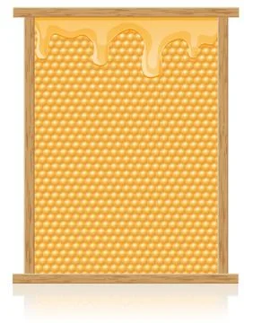 Honey comb in the frame vector illustration 스톡 일러스트
