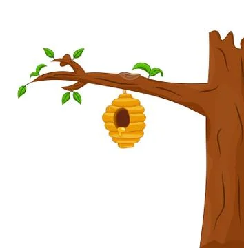Honey comb hang on tree Stock Illustration