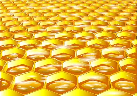 Honey in the comb Stock Illustration