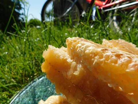 Honey comb Stock Photos