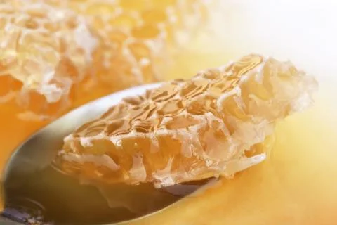 Honey comb on a spoon Stock Photos