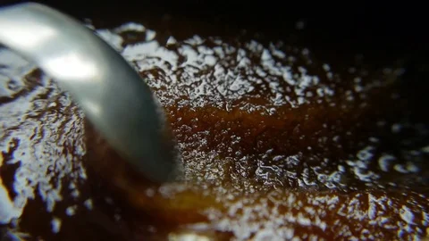 Honey detail Stock Footage 75396924