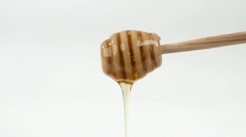 Honey Dipper Stock Footage 20530218