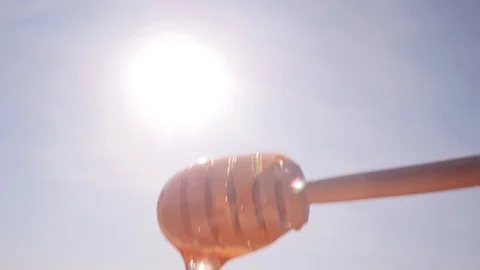 Honey Dipper.Flowing Honey. The Sun in the Background. Stock Footage