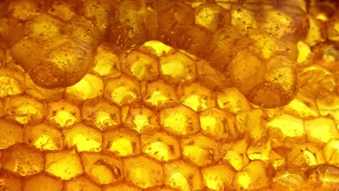 Honey drips down on honeycomb Stock Footage 229324175
