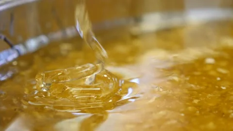 Honey drips from a drum spinner into a filter and then into a bucket Stock Footage 145020926