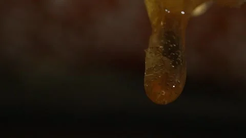 Honey Droping, Slow Motion, Macro Stock Footage 167266931
