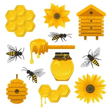 Honey elements collection. Stock Illustration