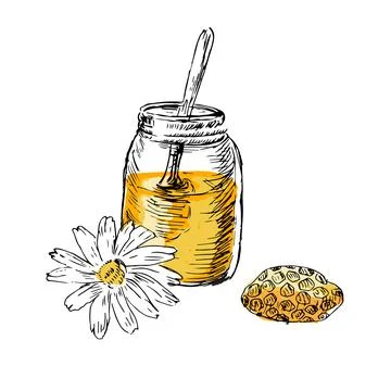 Honey elements hand drawn sketch in color Stock Illustration