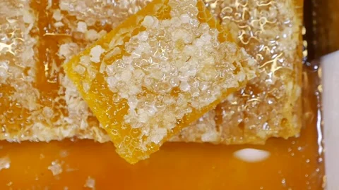 Honey extraction process in local apiary Stock Footage 340862817