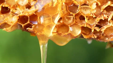 Honey flowing on the surface honeycombs. Close up Stock Footage 279594446