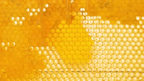 Honey flows down on the honeycomb surface. Honey drips on wax. Beekeeping Stock Footage 221622125