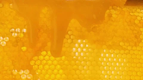 Honey flows down on the honeycomb surface. Honey drips on wax. Beekeeping Stock Footage 221622126