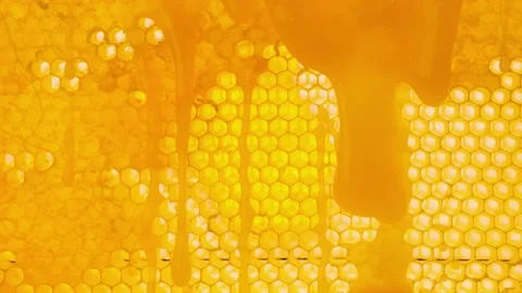 Honey flows down on the honeycomb surface. Honey drips on wax. Beekeeping Stock Footage 221622161