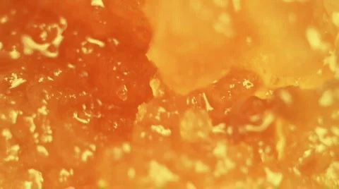 Honey Stock Footage 560170