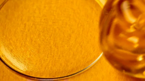 Honey  Stock Footage 730034