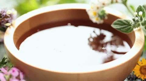 Honey Stock Footage 7765361